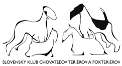 Obrázok, na ktorom je náčrt, obrysy, kresba, kreslený obrázok
Automaticky generovaný popis