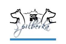 Obrázok, na ktorom je náčrt, kresba, animák, ilustrácia
Automaticky generovaný popis